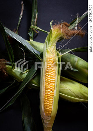 Corn 80791793