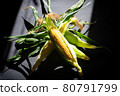 Corn 80791799
