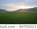 Rice fields and the setting sun 80792023