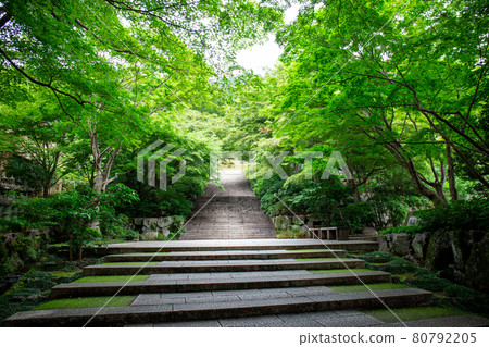 Katsuo-ji Katsuo-ji 80792205