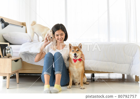 Young Asian woman relaxing and playing with three dogs (brown shiba inu, white shiba puppy and white maltese)in bedroom at home, Cheerful and nice couple with people and pet. Pet Lover concept Young Asian woman relaxing and playing with three dogs (brown shiba inu, white shiba puppy and white maltese)in bedroom at home, Cheerful and nice couple with people and pet. Pet Lover concept 80792757