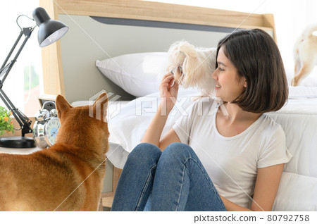 Young Asian woman relaxing and playing with three dogs (brown shiba inu, white shiba puppy and white maltese)in bedroom at home, Cheerful and nice couple with people and pet. Pet Lover concept 80792758