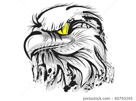 bald eagle vector bald eagle vector 80793295