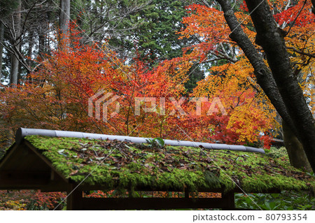 Autumn scenery of a temple in Kyoto Autumn scenery of a temple in Kyoto 80793354