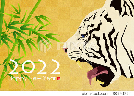 2022 Tiger New Year's card 2022 Tiger New Year's card 80793791