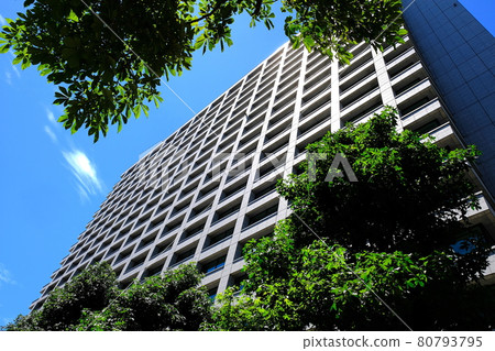 Ministry of Internal Affairs and Communications Ministry of Internal Affairs and Communications 80793795