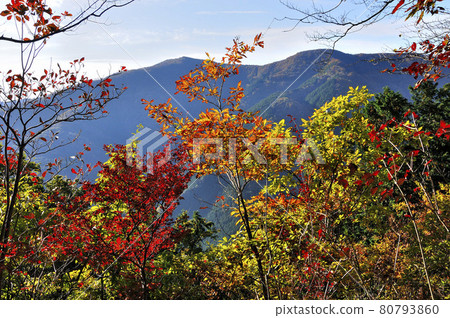 Oku Musashi: Overlooking the autumn leaves and Bonooreyama 80793860