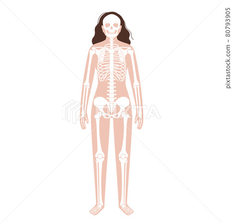 Human skeleton concept 80793905
