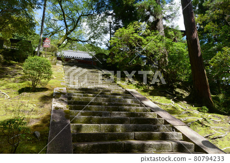Stone steps to the main hall of Ryosenji Temple, Nara City, Nara Prefecture Stone steps to the main hall of Ryosenji Temple, Nara City, Nara Prefecture 80794233