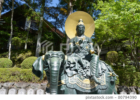 奈良縣奈良市龍泉寺普賢像 80794390