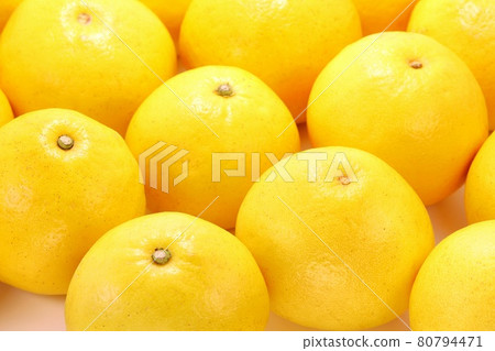 高知縣土佐柚，大型柑橘類水果，多重亮色背景 80794471