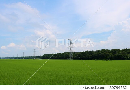 鄉村田園詩般的夏日風景 鄉村田園詩般的夏日風景 80794582