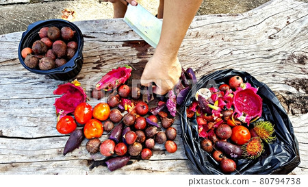 Fruits and vegetables are being prepared to compost organic fertilizer 80794738