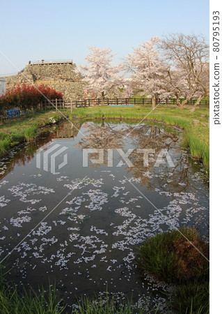 大和郡山城 80795193