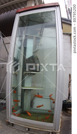 Goldfish phone booth Goldfish phone booth 80795200