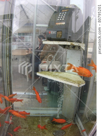 Goldfish phone booth Goldfish phone booth 80795201