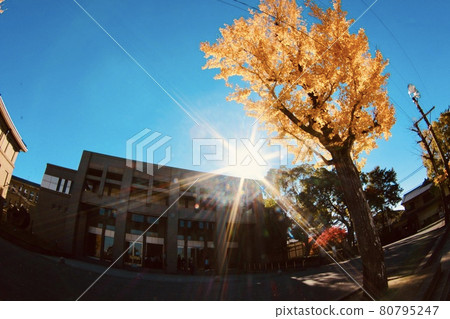 Unebi High School 80795247