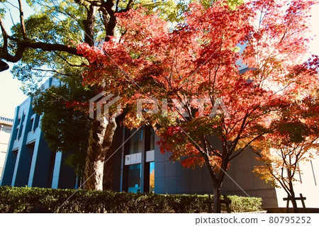 Unebi High School 80795252