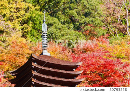 津山神社 80795258