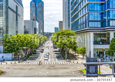 橫濱港未來城市景觀櫸樹大道 80795447