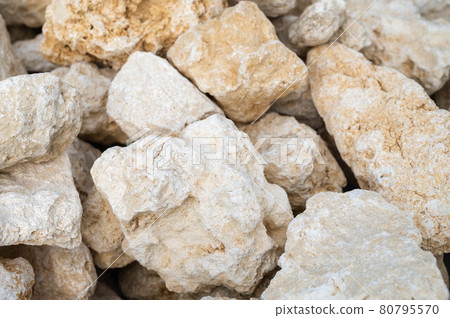 琉球煤石 琉球煤石 80795570