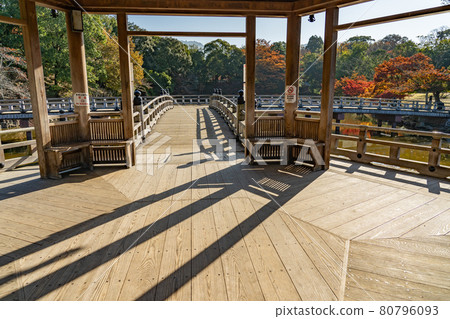 Ukimido floating in the beautiful autumn leaves of Sagiike in Nara Park, Nara City, Nara Prefecture Ukimido floating in the beautiful autumn leaves of Sagiike in Nara Park, Nara City, Nara Prefecture 80796093