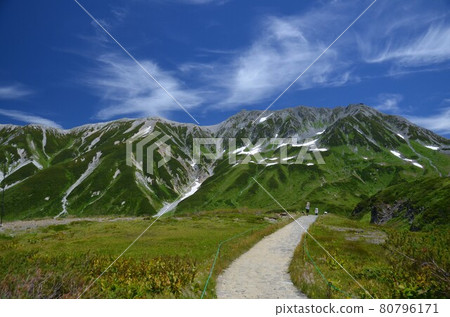 Road to Tateyama in midsummer Road to Tateyama in midsummer 80796171