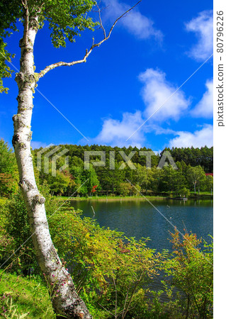 Lake Goddess 80796226