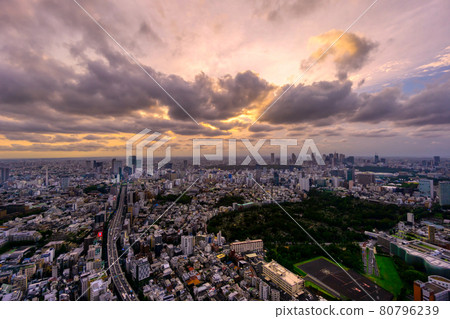 東京夜景 2021 澀谷新宿 80796239