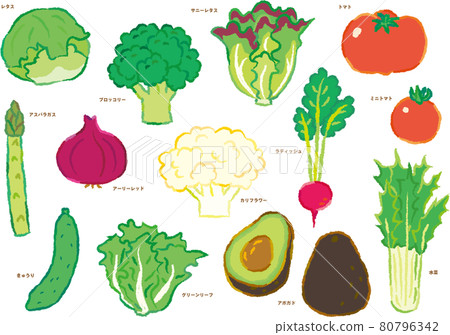 Vegetable illustration set salad 80796342