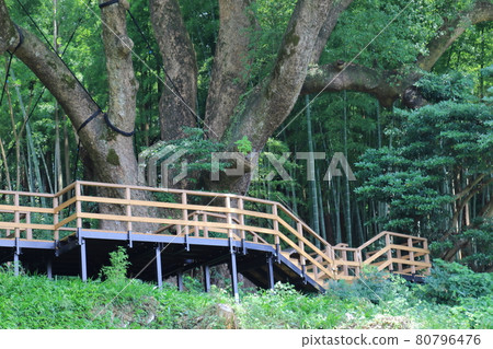 Ogose Town, Iruma District, Saitama Prefecture Ogose Town, Iruma District, Saitama Prefecture 80796476