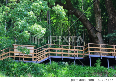 埼玉縣入間郡尾瀨町 80796477