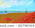 Cluster amaryllis and Shirasagi Ohashi, iridescent clouds in the sky, south bank of Yoshino River embankment, Tokushima Prefecture 80796569