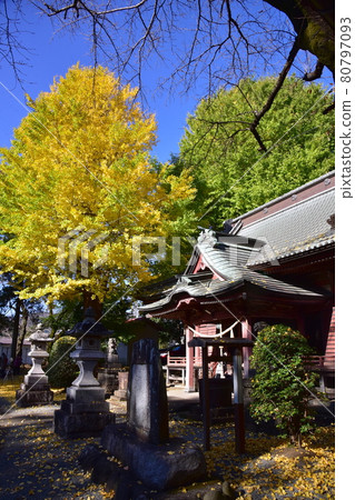 The appearance of a shrine rich in autumn colors The appearance of a shrine rich in autumn colors 80797093