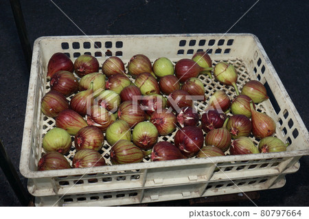 Fig harvest Fig harvest 80797664