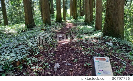 增山城無常 增山城無常 80797756