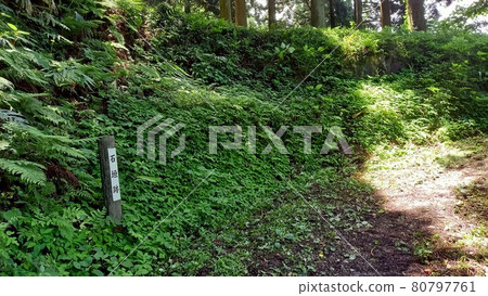 增山城入口附近的石牆 增山城入口附近的石牆 80797761