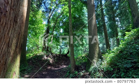 增山城二之丸入口 增山城二之丸入口 80797763