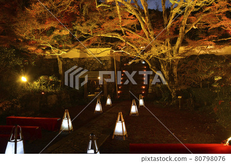 [Kyoto Prefecture] Kameoka City, Shinzoji Temple, Autumn Leaves Illumination, Autumn Scenery, Akechi Mitsuhide 80798076