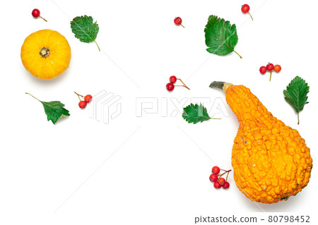 Autumn leaves fall. Natural food, harvest with orange pumpkin, fall dried leaves, rowan berries isolated on white background. Autumn, fall, thanksgiving day concept. Autumn leaves fall. Natural food, harvest with orange pumpkin, fall dried leaves, rowan berries isolated on white background. Autumn, fall, thanksgiving day concept. 80798452