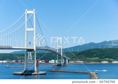 Sunny swan bridge 80798766