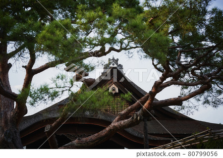 Naomikan over the pine trees seen from the Heian Jingu Shrine in Kyoto Naomikan over the pine trees seen from the Heian Jingu Shrine in Kyoto 80799056