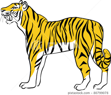 Sideways tiger vector illustration tiger zodiac - Stock Illustration ...