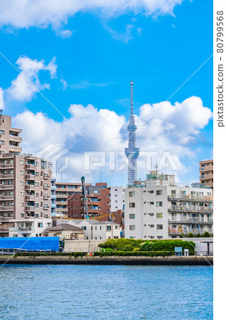 Cityscape of Tokyo Scenery around Kiyosu Bridge 80799568