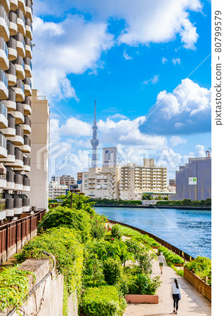 Cityscape of Tokyo Scenery around Kiyosu Bridge 80799579