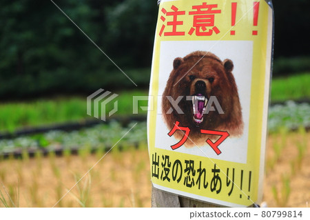 Bear sign 80799814