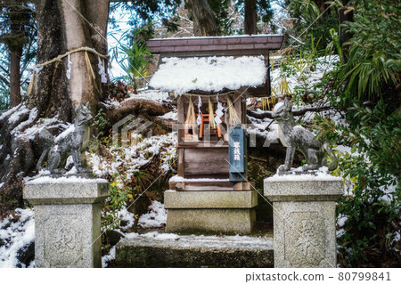 滋賀縣彥根市天寧寺院內的稻荷神社小神社,白雪皚皚 滋賀縣彥根市天寧寺院內的稻荷神社小神社,白雪皚皚 80799841