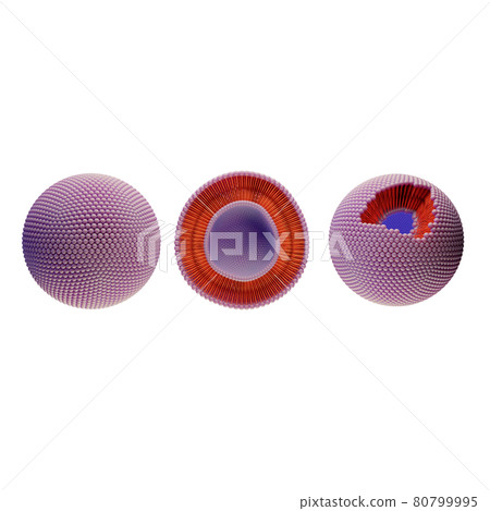 liposomes liposomes 80799995