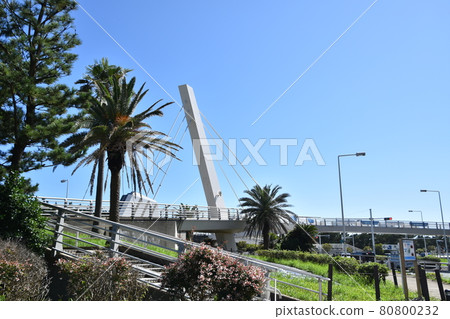 Scenery of Hamasuka intersection pedestrian bridge Chigasaki city Scenery of Hamasuka intersection pedestrian bridge Chigasaki city 80800232