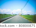 Country road where you can see rice fields and the sky 80800875